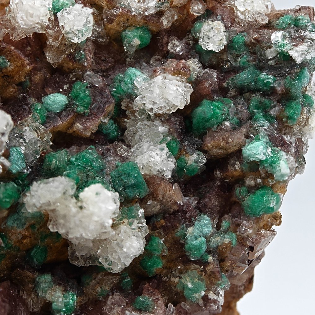 Malachite trapped in plaster and dolomite, Morocco. Crystals on matrix - Height: 90 mm - Width: 71 mm- 218 g #2.1