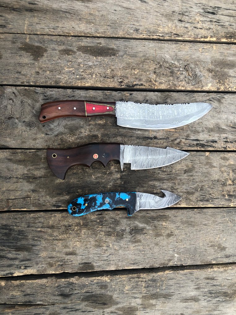 Coltello da cucina - Coltelli Prestigiosi fatti a mano Skinners, acciaio forgiato, corno di cervo, legno e impugnature - Nord America - Custodia in pelle TD59 #1.0