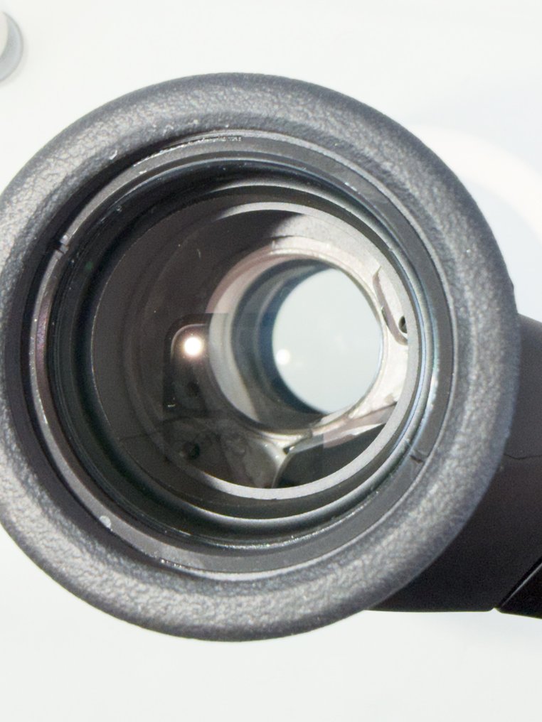 雙筒望遠鏡 - Action EX 8x40 8,2° Waterproof - 2000-2010 - 日本 - Nikon #1.0