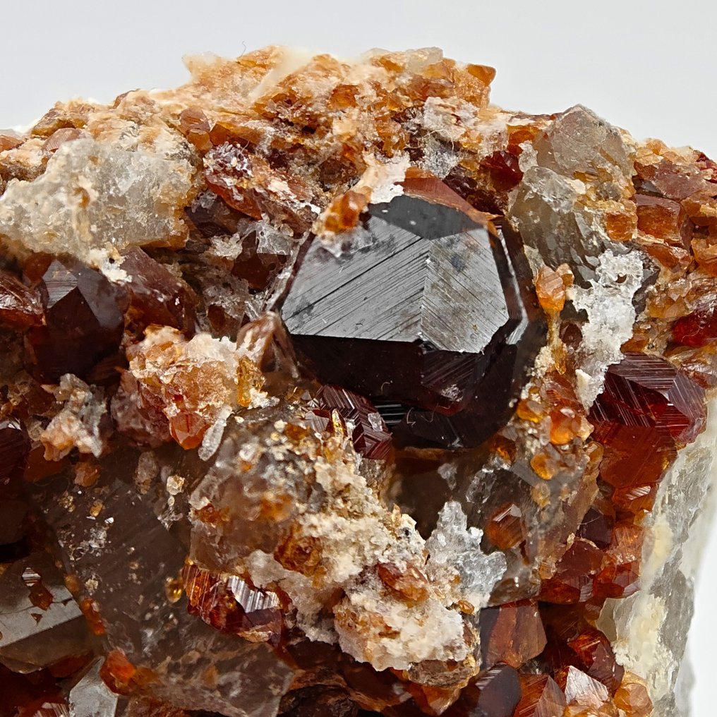 SPESSARTINA BICOLORE σε ΚΟΚΚΙΝΟ και ΠΟΡΤΟΚΑΛΙ, μοναδικά μεγάλα κρύσταλλα, κορυφαίο Κρύσταλλοι στη μήτρα - Ύψος: 42 mm - Πλάτος: 40 mm- 41 g #1.0