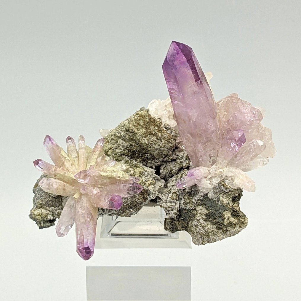 Fiore di AMETISTA VIOLA, Estetico, MESSICO Cristalli - Altezza: 95 mm - Larghezza: 75 mm- 151 g #1.0