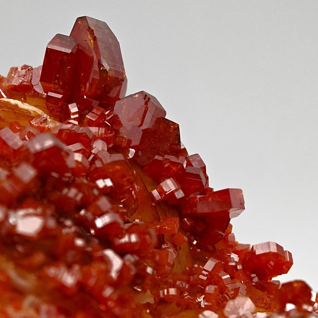 Vörös vér vanadinit vihar a sárga barit felett Kristálymátrix - Magasság: 74 mm - Szélesség: 47 mm- 87 g #1.0