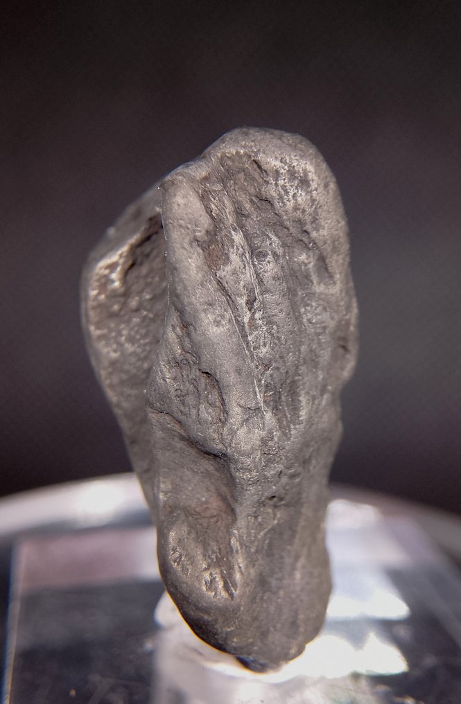 Platinum Nugget - Height: 29 mm - Width: 12 mm- 10 g #1.0