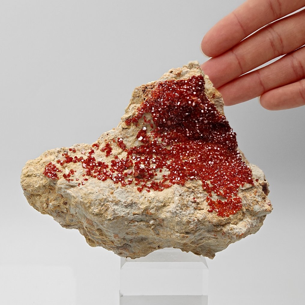 血红色的瓦纳丁石风暴，美学 水晶矩晶体 - 高度: 116 mm - 宽度: 95 mm- 368 g #1.0