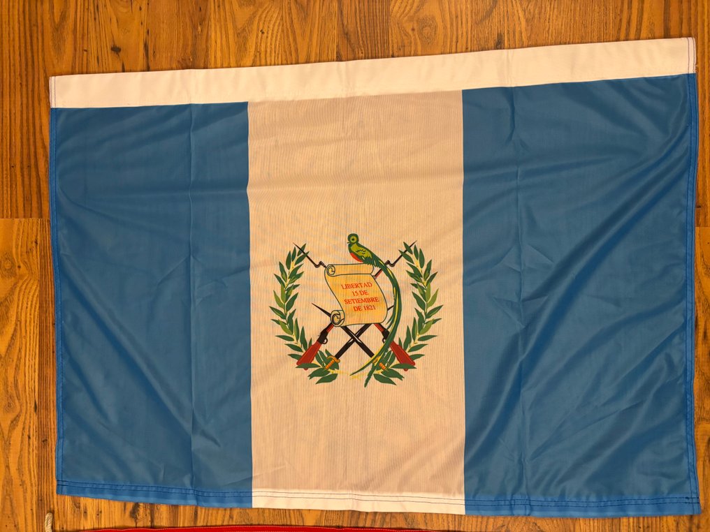 Guatemala in the US - Flag - Guatemala en US protest vlag #2.1