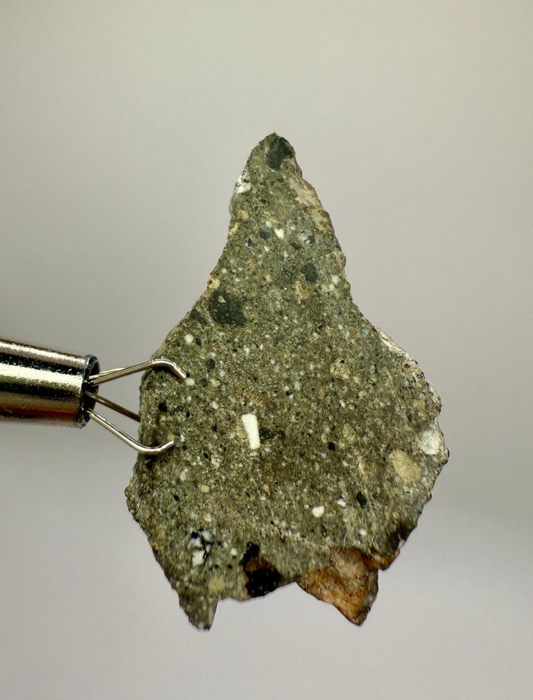 NWA 17498 Howardite NWA 17498 Howardite - 5.57 g - (1) #4.3