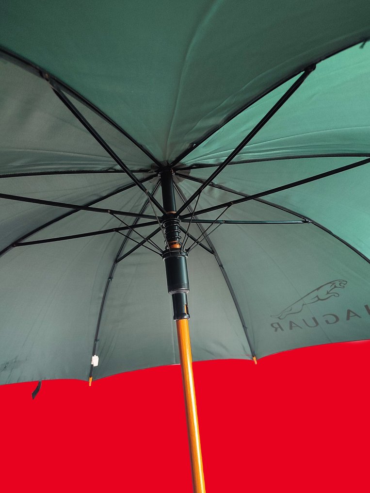 Parapluie - Jaguar #3.2