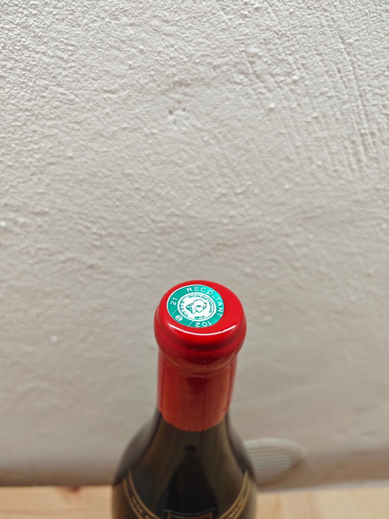 2019 Domaine Camus Pere et Fils - Gevrey Chambertin - 1 Magnum (1.5L) #2.1