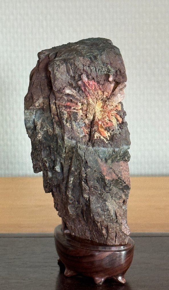 天然石材 - 水石 菊石 鲭 - 平成時期（1989年至今） #2.1