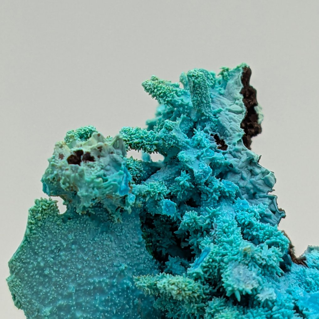 CRISOCOLLA 蓝晶石和孔雀石的伪矿物，优雅 矩陣晶體 - 高度: 49 mm - 闊度: 34 mm- 12 g #4.3