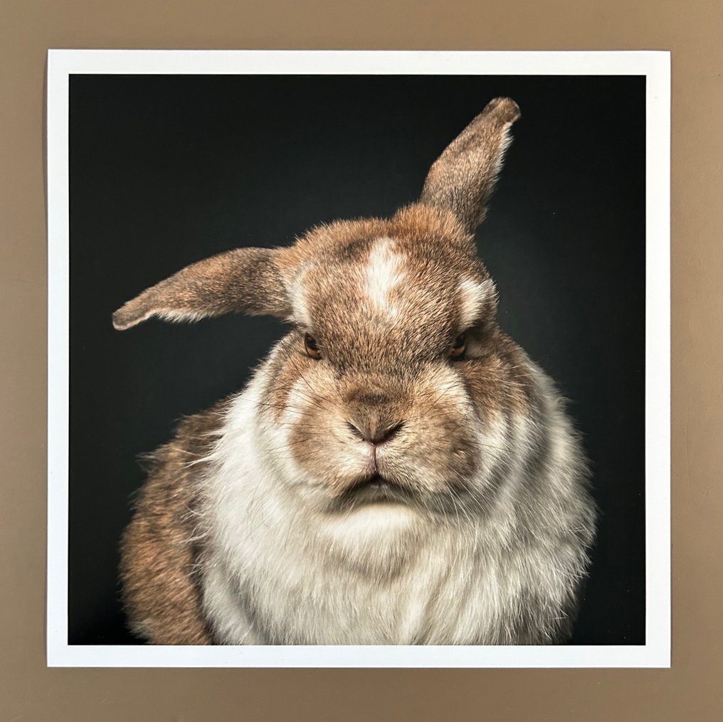 Ralph Hargarten - Hermine #1.0