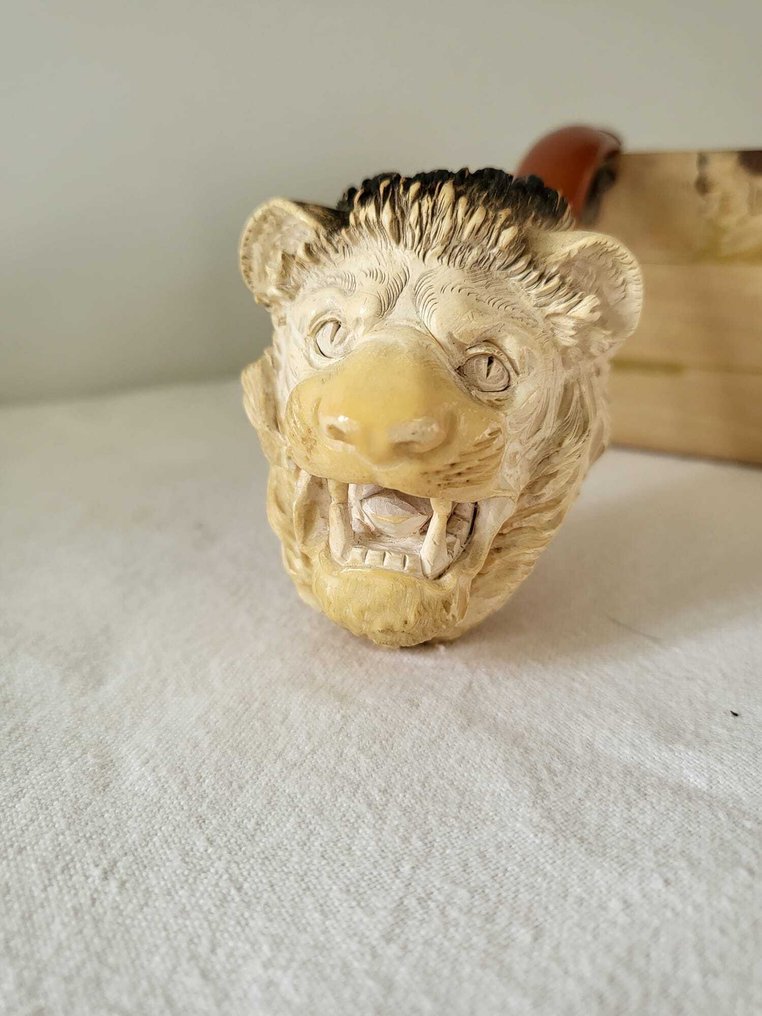 Pipe sculptée en forme de tête de lion - No Reserve Price - Meerschaum pipe - sea foam #1.0