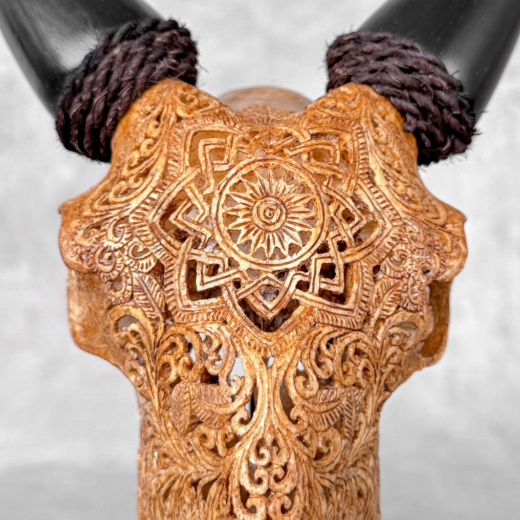 无底价 - 正宗手工雕刻山羊骨骼 - 星形曼陀罗图案 雕刻頭骨 - Capra hircus - 38 cm - 22 cm - 16 cm- 非《瀕臨絕種野生動植物國際貿易公約》物種 -  (1) #1.0