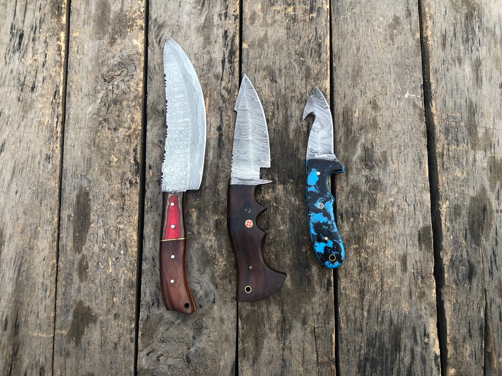 Coltello da cucina - Coltelli Prestigiosi fatti a mano Skinners, acciaio forgiato, corno di cervo, legno e impugnature - Nord America - Custodia in pelle TD59 #2.1