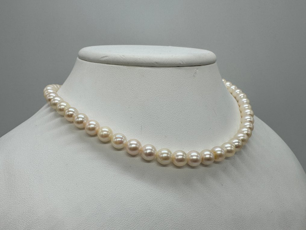 Senza prezzo di riserva - Collana Argento Perla - Perla #1.0