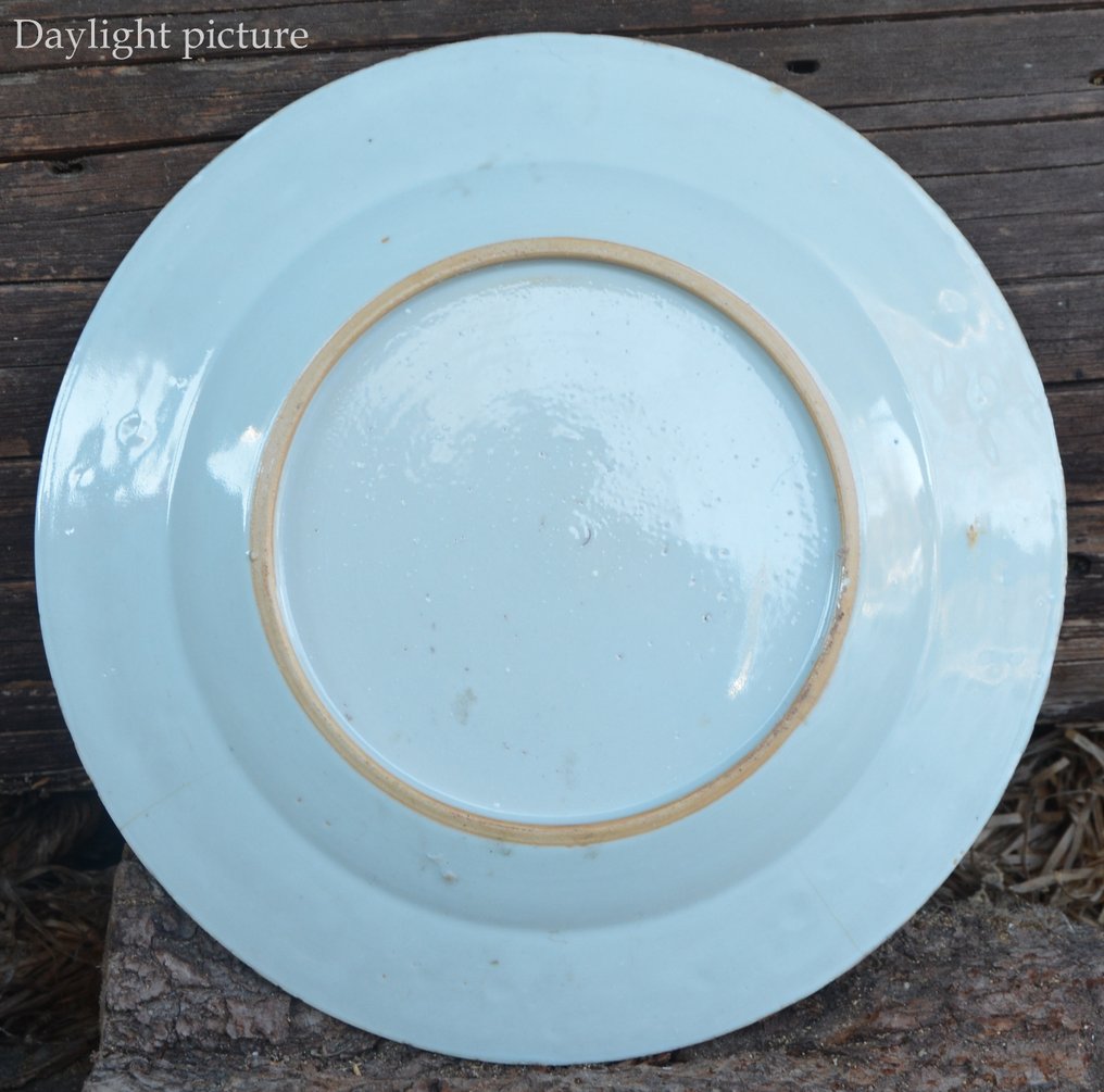 两只中国青花瓷‘花卉’盘和‘莲花池’盘(3)- 无底价 - 瓷 - 中国 - 清朝(大清),乾隆时期(1735-1796,乾隆),18世纪 #4.3