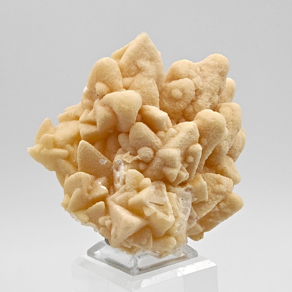 Calcite Alpina υψηλής φωσφοριστικής και φωσφορούσας, Ιταλία Κρύσταλλοι στη μήτρα - Ύψος: 90 mm - Πλάτος: 82 mm- 301 g #4.3