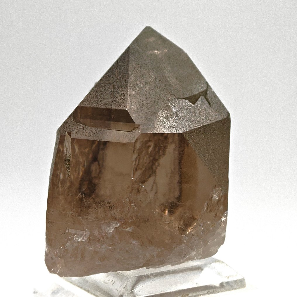 QUARZO FUMÈ con CLORITE VERDE, Svizzera Cristalli su matrice - Altezza: 54 mm - Larghezza: 38 mm- 92 g #1.0