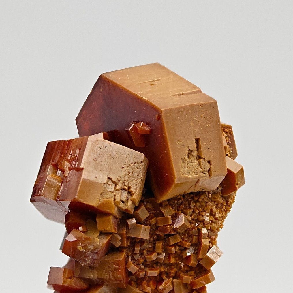 BRUCO di VANADINITE BICOLORE, ROSSO e ARANCIONE Kristalle auf Muttergestein - Höhe: 29 mm - Breite: 21 mm- 17 g #1.0