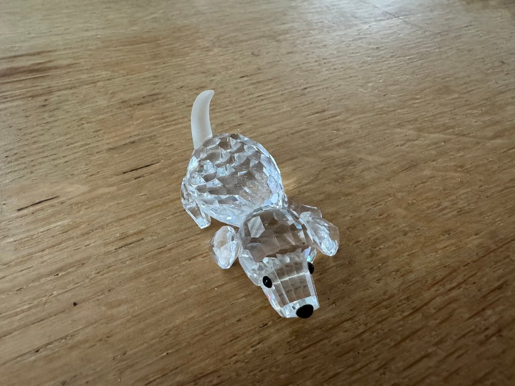 Swarovski - Statuetta in miniatura - Kristallen dierfiguren set (5) - Cristallo #1.0