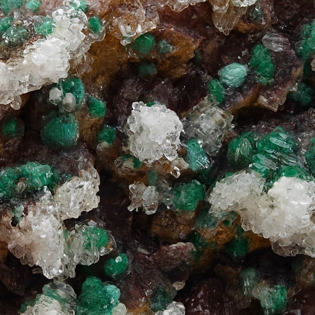 Malachite trapped in plaster and dolomite, Morocco. Crystals on matrix - Height: 90 mm - Width: 71 mm- 218 g #4.3