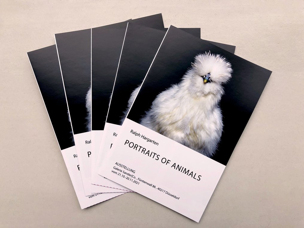 Ralph Hargarten - Coco #3.2