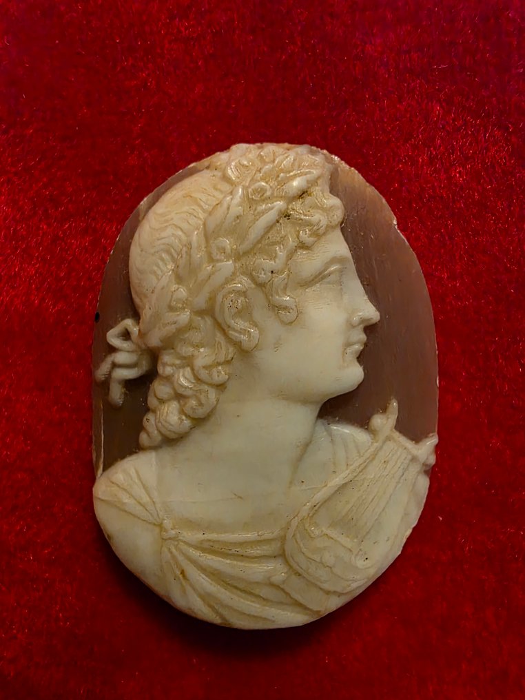 无金属 浮雕贝壳 - 复制品在古董之后  (没有保留价) #1.0