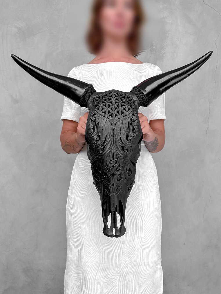 SEM PREÇO DE RESERVA - Cabeça de touro preto grande, esculpida à mão, com motivo Flower Of Life Crânio esculpido - Bos Taurus - 59 cm - 63 cm - 18 cm- Espéciesnão-CITES #2.1