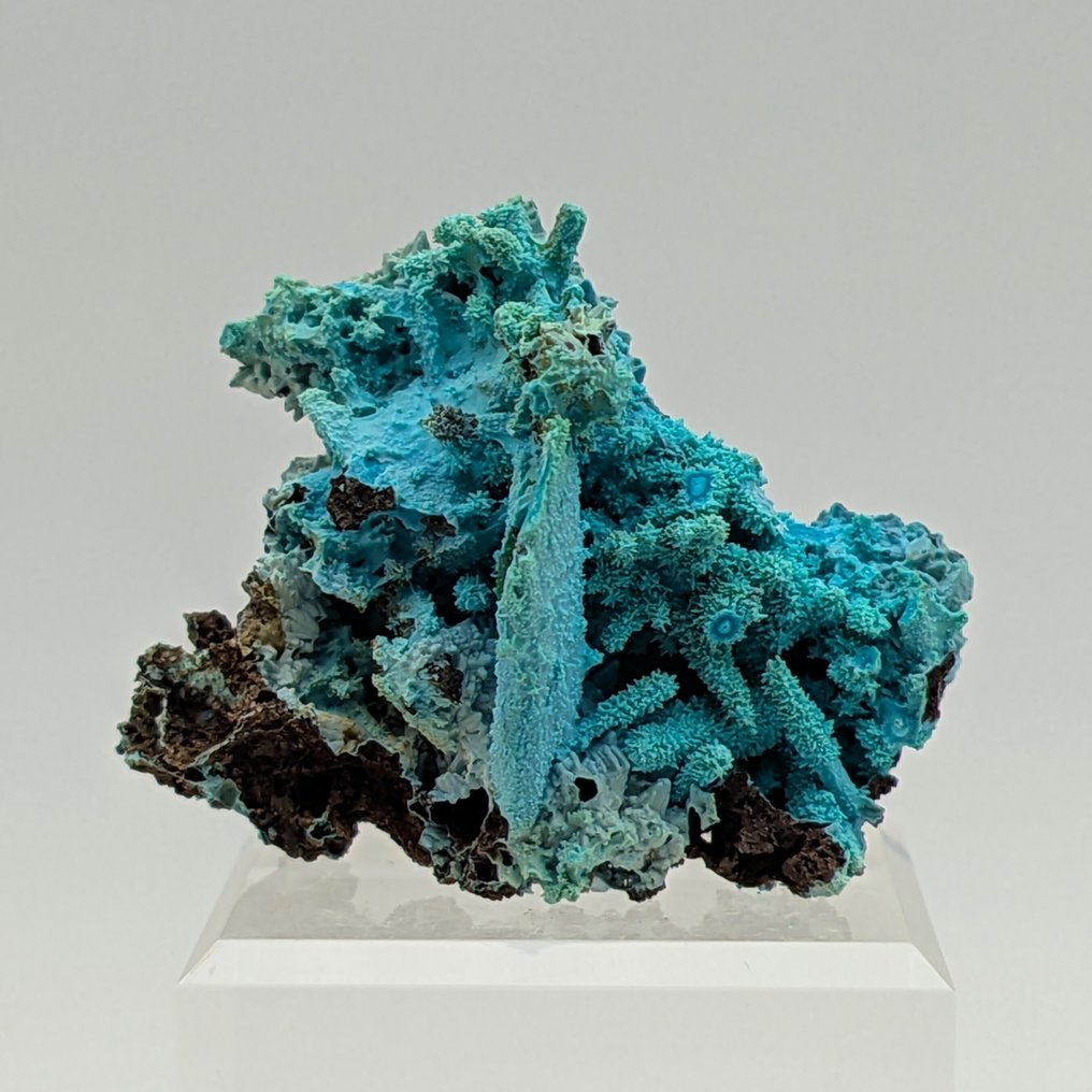 CRISOCOLLA 蓝晶石和孔雀石的伪矿物，优雅 矩陣晶體 - 高度: 49 mm - 闊度: 34 mm- 12 g #2.1