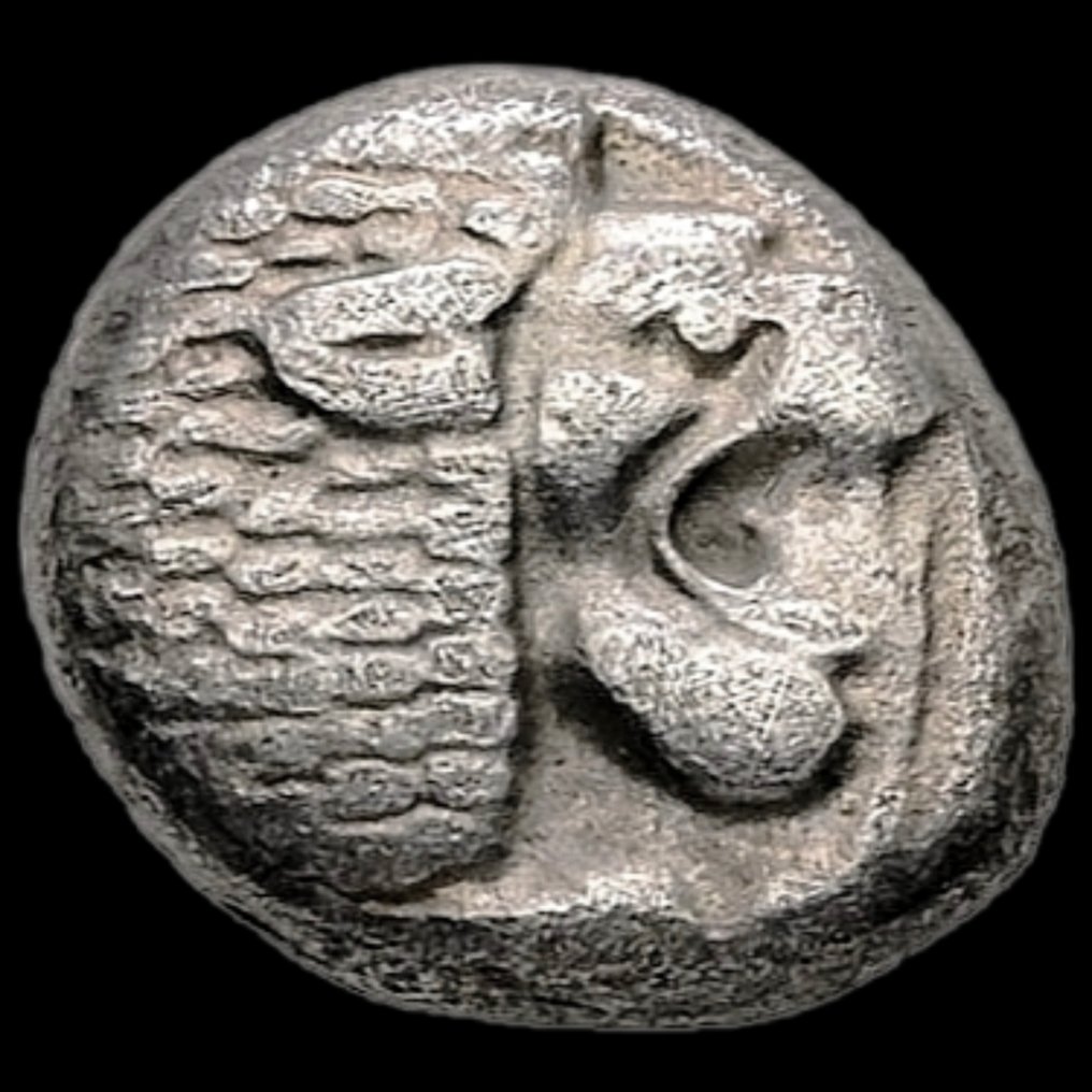 Ionia, Miletos Diobol late 6th-early 5th century BC - Lion's head / Stellate pattern  (No reserve price) #1.0