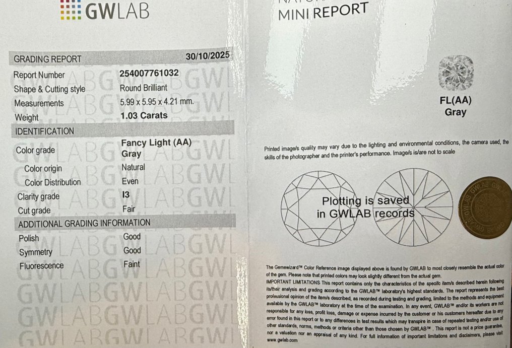 沒有保留價 - 1 pcs 鑽石  (天然彩色)  - 1.03 ct - 圓形 - Fancy light 灰色 - I3 - Gemewizard Gemological Laboratory (GWLab) #2.1