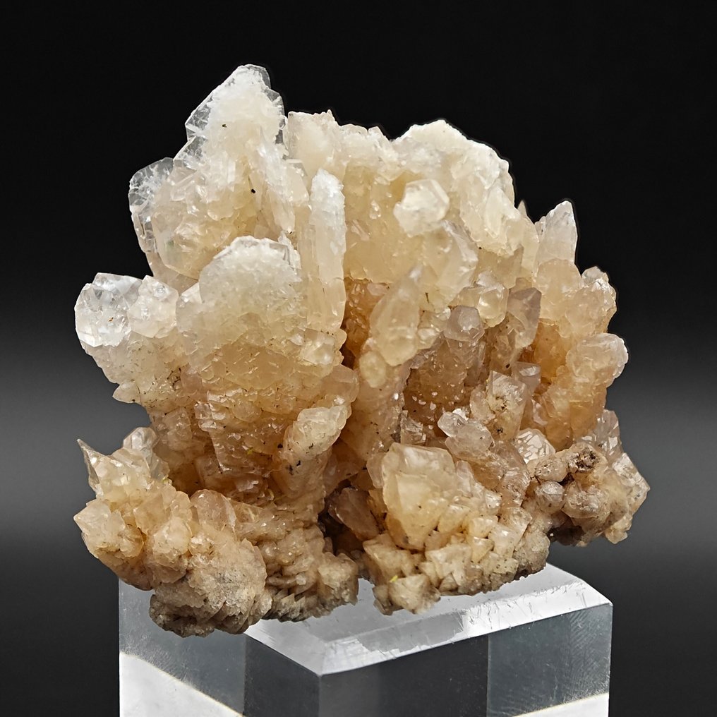 白色和橙色方解石之花，优雅，撒丁岛 水晶矩晶体 - 高度: 79 mm - 宽度: 59 mm- 88 g #4.3