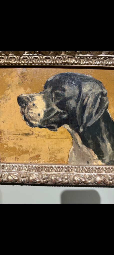 Olasz iskola (XX) - Ritratto di cane da caccia di profilo #2.1