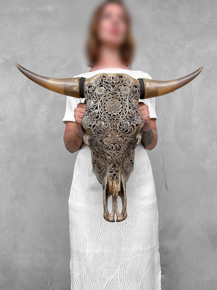 NO RESERVE PRICE - Authentic Large Brown Hand-Carved Bull Skull - Flower Mandala Motif- Carved skull - Bos Taurus - 51 cm - 62 cm - 17 cm- Non-CITES species - (1) #2.1