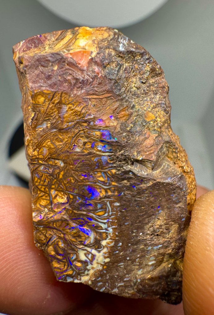 Opal Caboșon - Înălțime: 38 mm - Lățime: 24.5 mm- 16.24 g - (1) #2.1