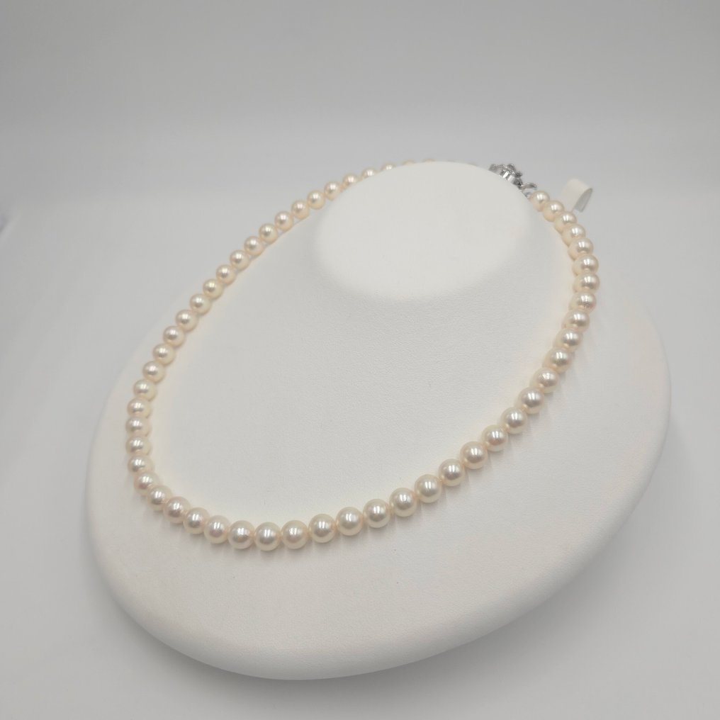 Senza Prezzo di Riserva - Collana Argento Perla - Akoya 7,5 mm 17,5 pollici PSL #1.0