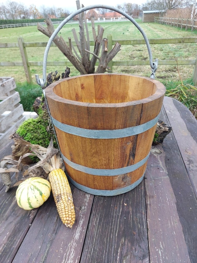 Nyugat-ázsiai Fa nehéz fa vödör - 50 cm  (Nincs minimálár) #2.1