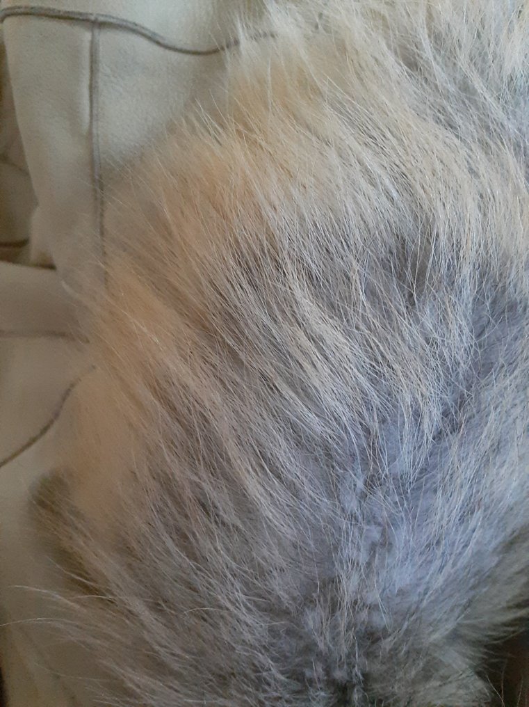 Artisan Furrier - 皮毛大衣 #4.3