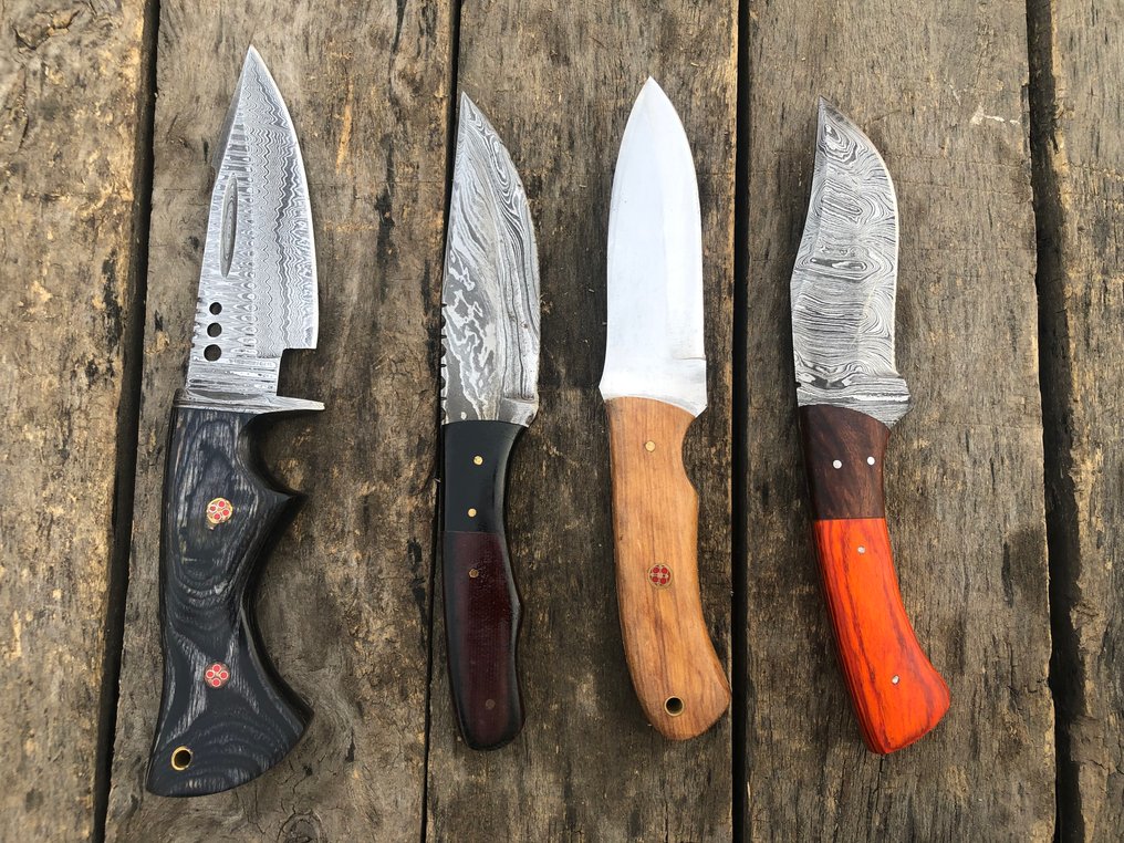 厨刀 - 著名的手工制作Skinners刀，锻钢，鹿角，木材及稀有柄 - 北美 - 皮套 TD52 #1.0