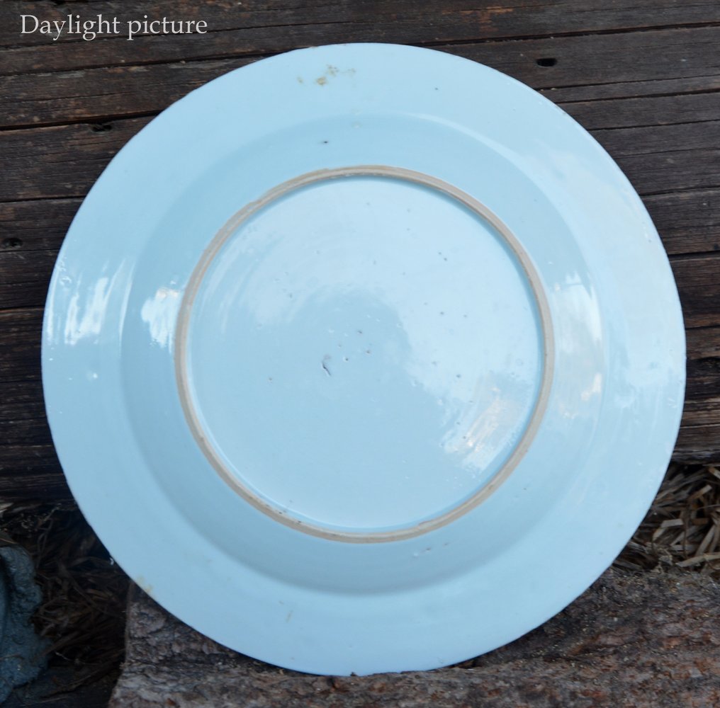 两只中国青花瓷‘花卉’盘和‘莲花池’盘(3)- 无底价 - 瓷 - 中国 - 清朝(大清),乾隆时期(1735-1796,乾隆),18世纪 #2.1