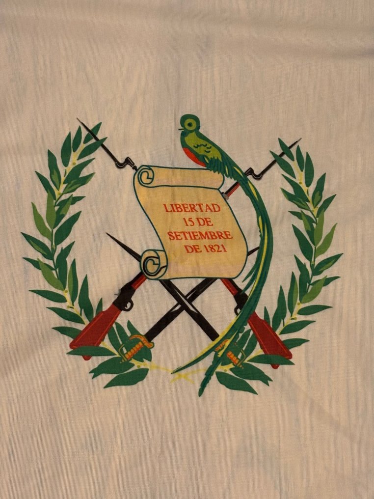 Guatemala in the US - Flag - Guatemala en US protest vlag #3.2