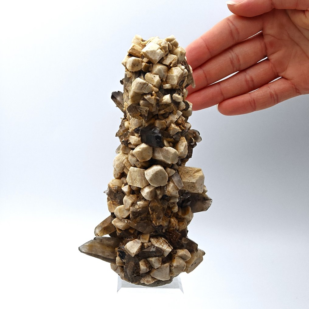 Dozens of zircon stones set in smoky quartz and microclino, Malawi. Crystals on matrix - Height: 149 mm - Width: 84 mm- 532 g #1.0