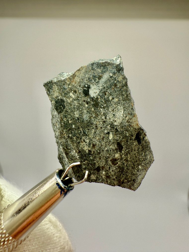 NWA 17909 Diogenite Polymict Breccia NWA 17909 Diogenite Polymict Breccia - 3.76 g - (1) #4.3