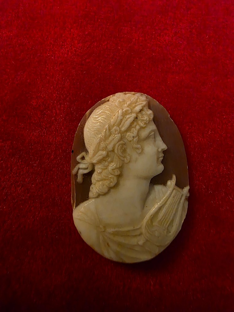 无金属 浮雕贝壳 - 复制品在古董之后  (没有保留价) #2.1