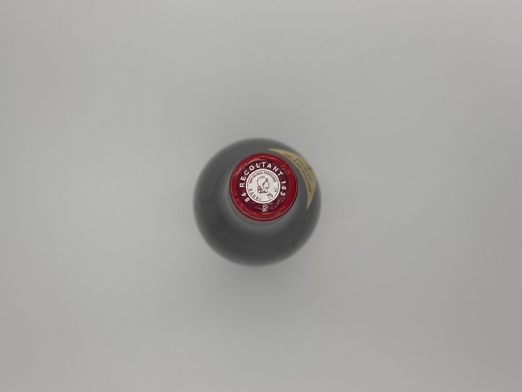 2007 E. Reynaud, Pignan - Châteauneuf-du-Pape - 1 Bouteille (0,75 l) #3.2