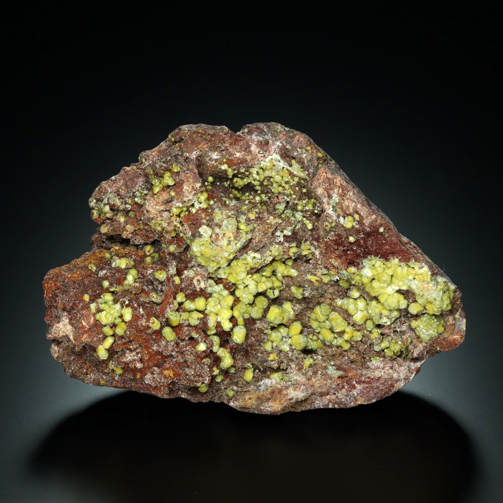 顶级品质！MIMETITE 在来自刚果民主共和国的 MATRIX 上。 标本 - 高度: 8 cm - 宽度: 12 cm- 427 g #1.0