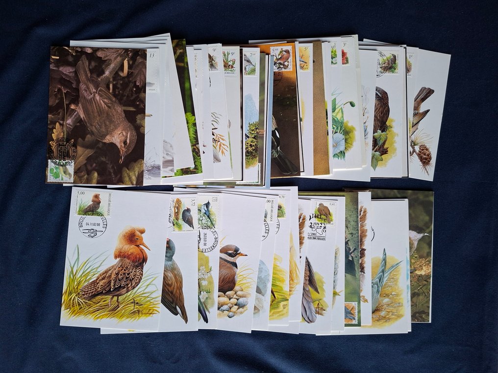 Bélgica 1985/2003 - Vogels Andre Buzin seleção MAXIMUMKAARTEN #1.0