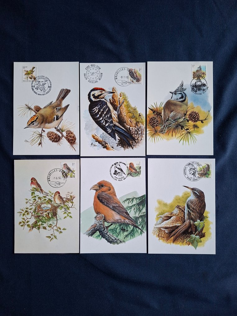 Bélgica 1985/2003 - Vogels Andre Buzin seleção MAXIMUMKAARTEN #1.0