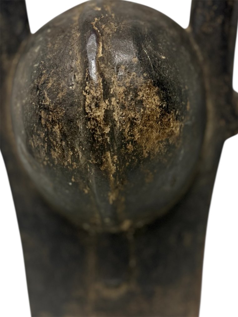 Nigeria (Zonder minimumprijs) #1.0