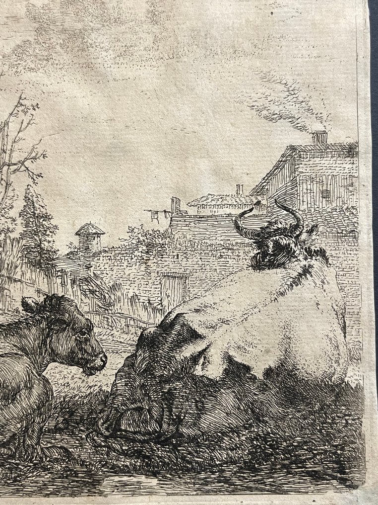 Karel Dujardin (1622-1678) - "Il Vitello e la Mucca" #2.1